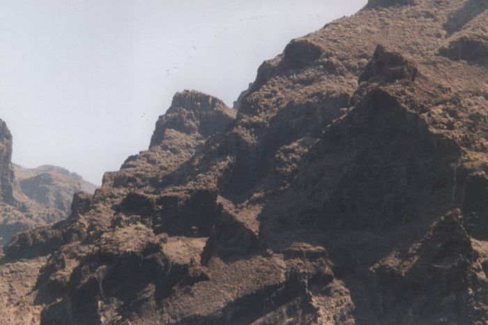 HRS-0125.jpg