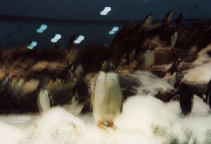 HRS-0299.jpg