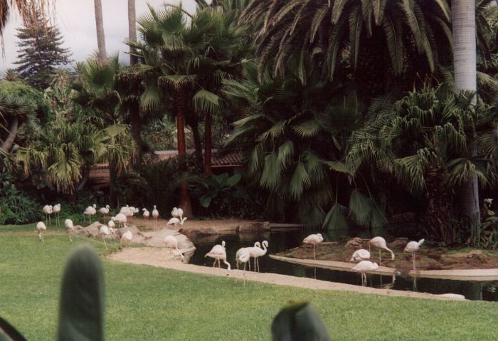 HRS-0367.jpg