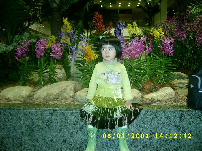 S3600115.JPG