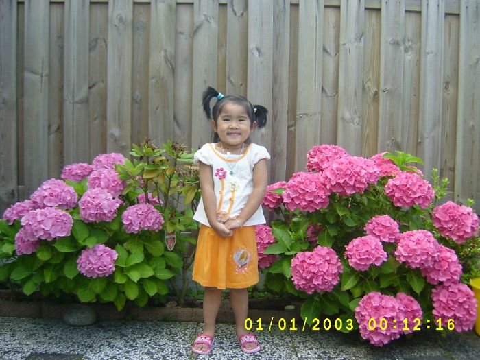 S3600243.JPG