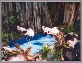 102_Wkq_Twh_05