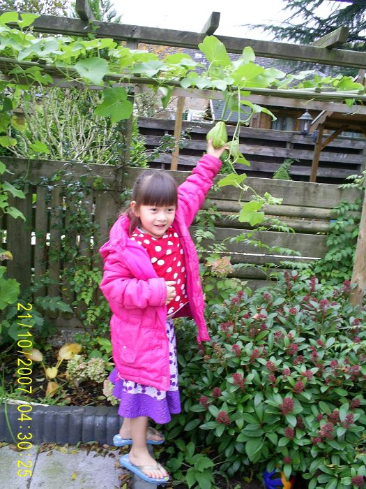 S4024528.JPG