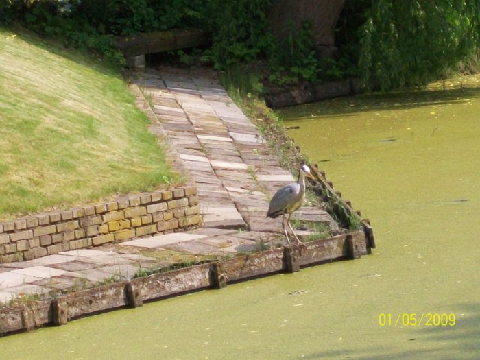 100_0198.JPG