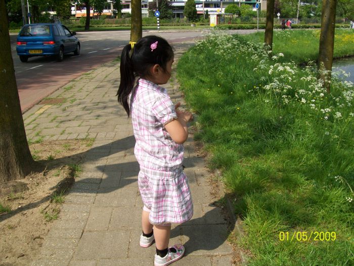 100_0200.JPG