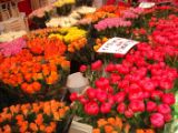 DSCF2028