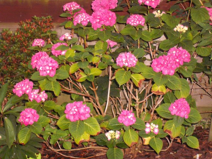 DSCF2582.JPG