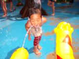 DSCF2971