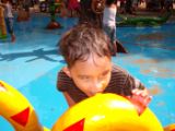 DSCF2973