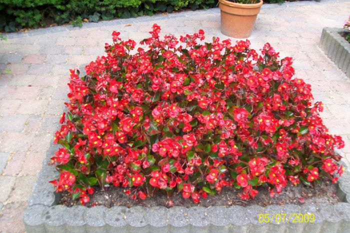 100_1284.JPG
