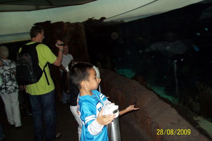 100_2173.JPG