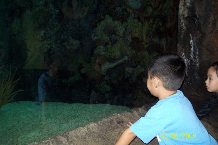 100_2186.JPG