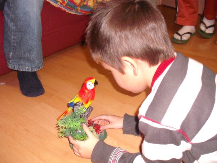 DSCF4347.JPG