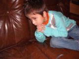 DSCF4267