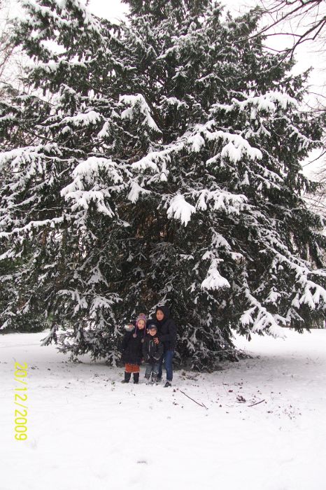 100_3916.JPG