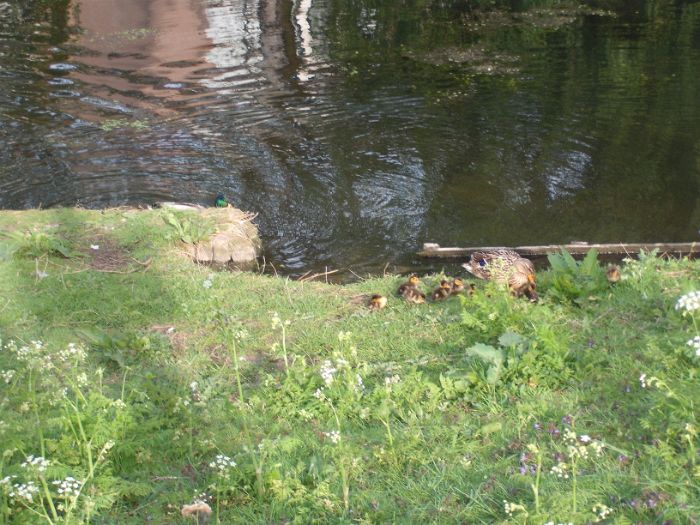DSCF4849.JPG