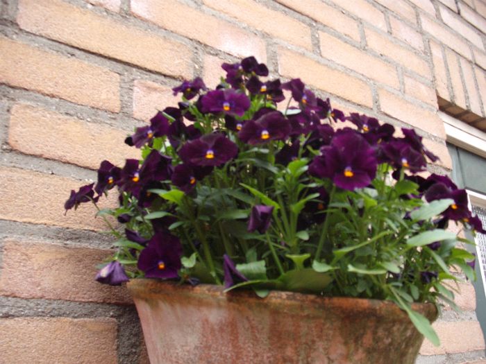 DSCF4882.JPG