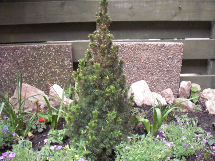 DSCF4883.JPG