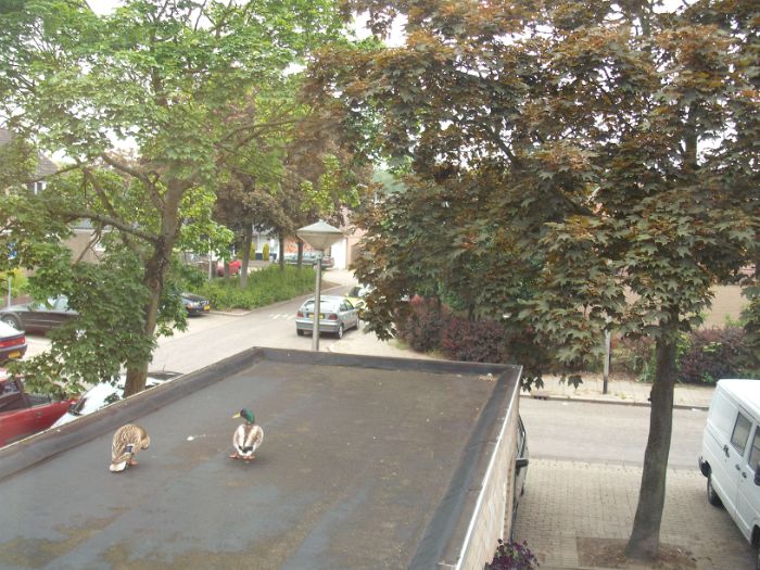 DSCF5131.JPG