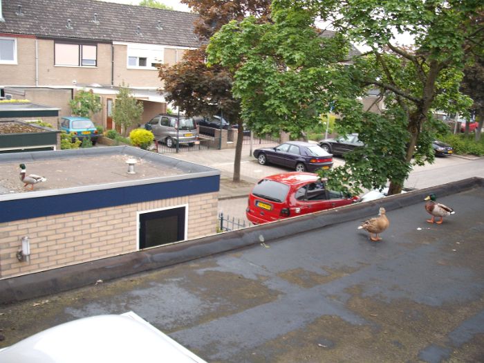 DSCF5133.JPG