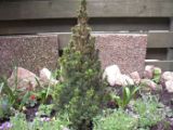 DSCF4883
