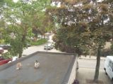 DSCF5131