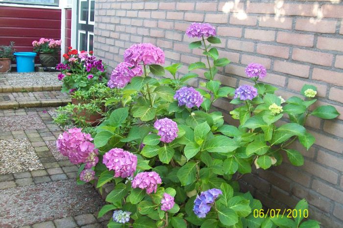 100_6837.JPG