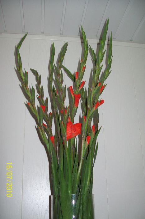 100_7084.JPG