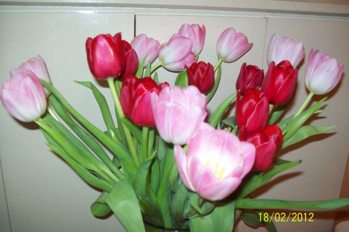 101_8781.JPG