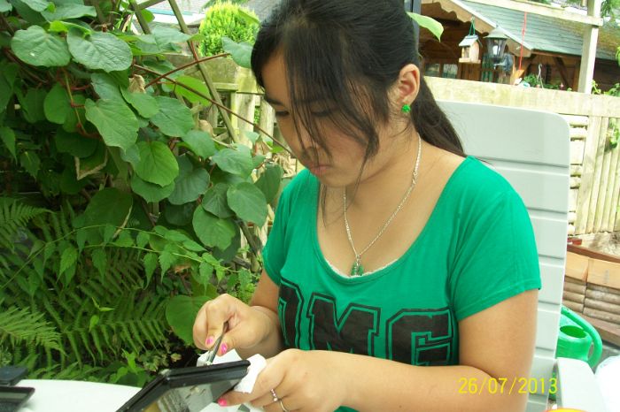 100_6936.JPG