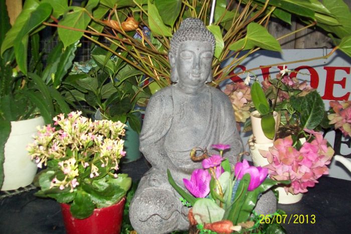 100_6964.JPG