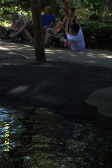 100_7230.JPG