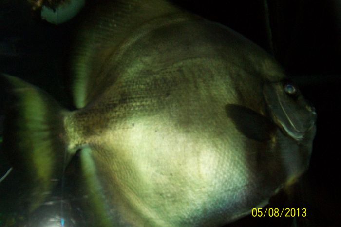 100_7250.JPG