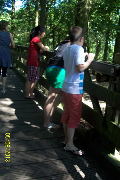 100_7272.JPG