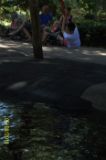 100_7230
