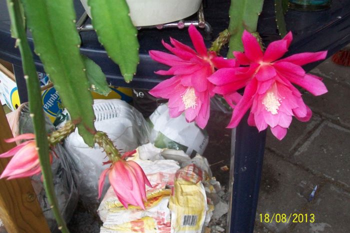 100_7548.JPG