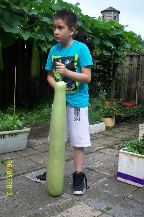100_7751.JPG