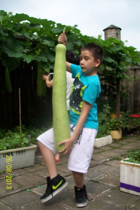 100_7752.JPG