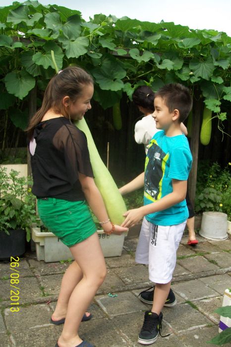 100_7753.JPG