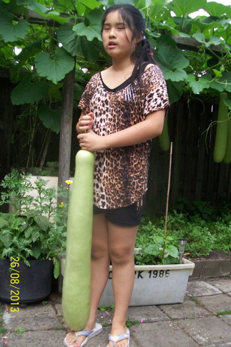 100_7762.JPG