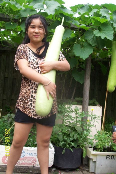 100_7767.JPG