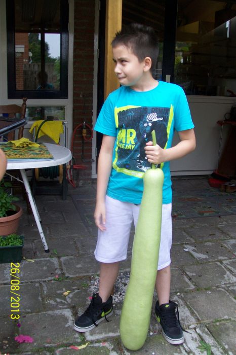 100_7771.JPG