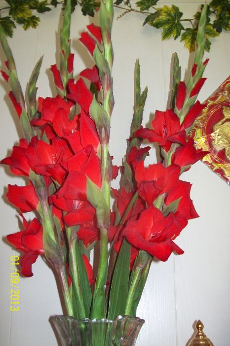 100_7905.JPG