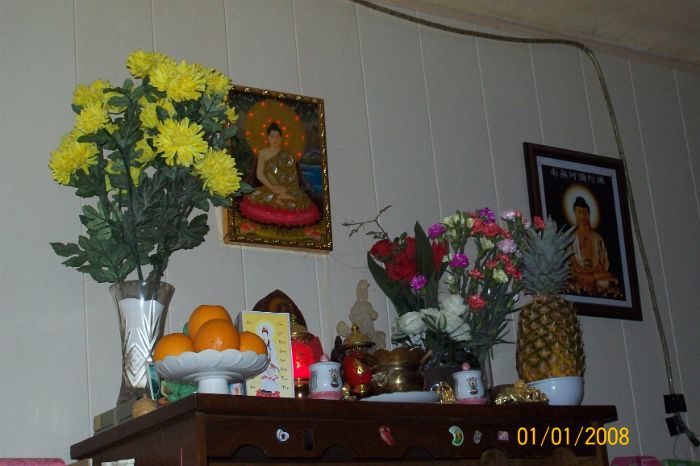 100_8446.JPG