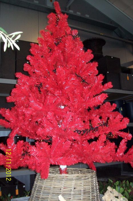 100_8655.JPG