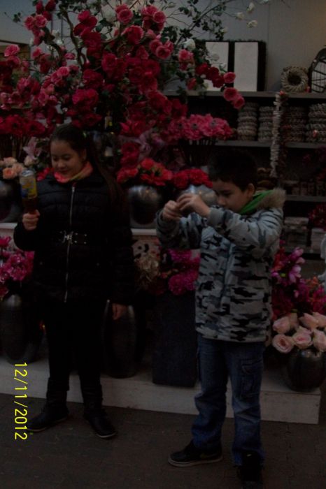 100_8659.JPG