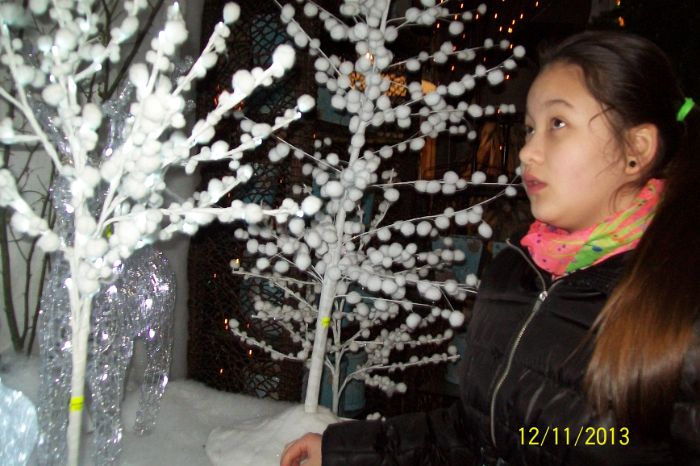 100_8676.JPG