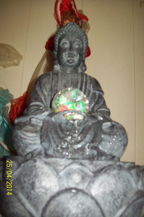 100_9867.JPG