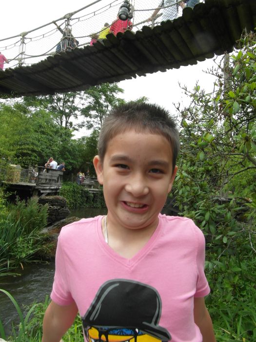 SAM_0808.JPG