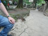 SAM_0774